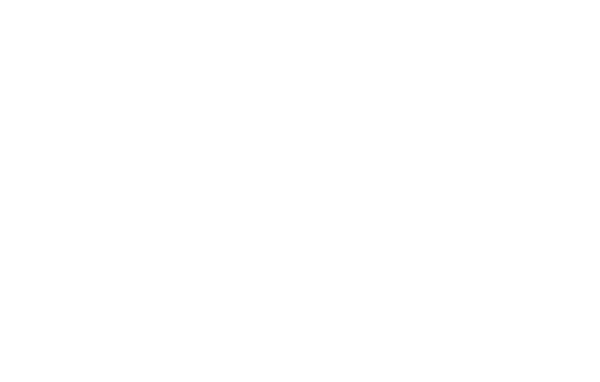 Link Properties Logo